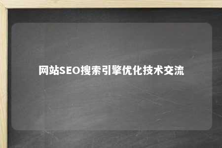 网站SEO搜索引擎优化技术交流