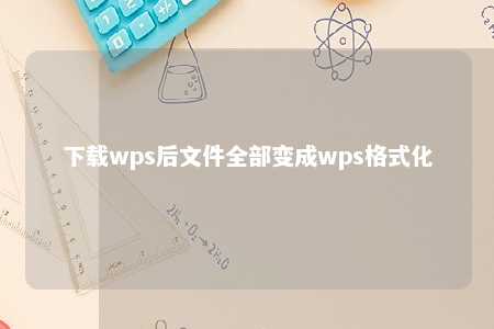 下载wps后文件全部变成wps格式化