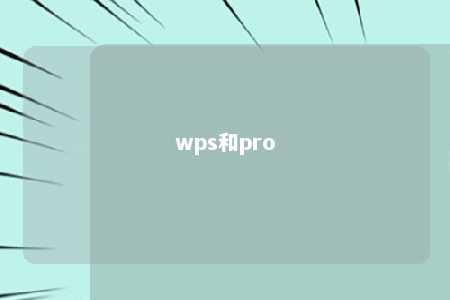 wps和pro 