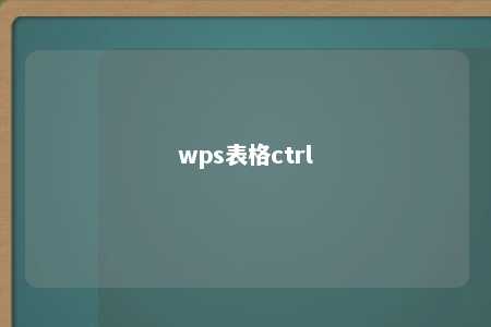 wps表格ctrl 