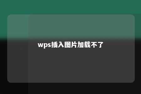 wps插入图片加载不了 