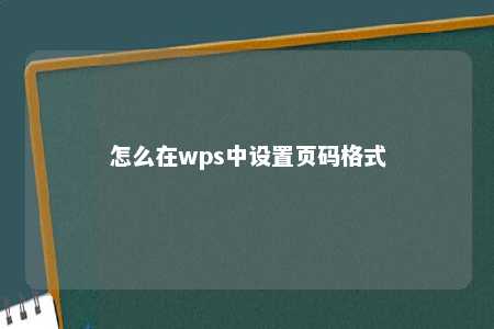 怎么在wps中设置页码格式