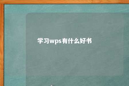 学习wps有什么好书 