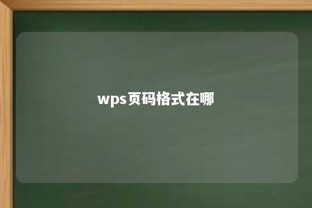 wps页码格式在哪 