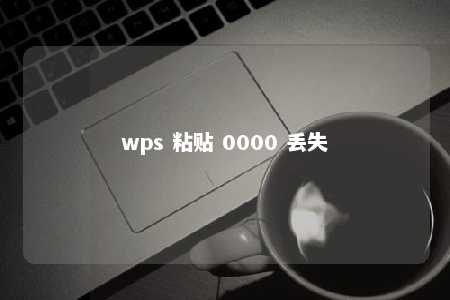 wps 粘贴 0000 丢失 