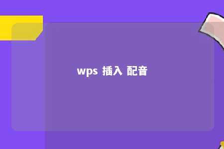 wps 插入 配音 