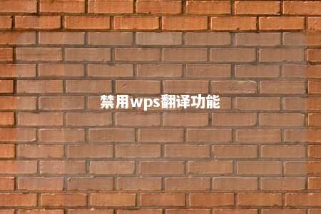 禁用wps翻译功能