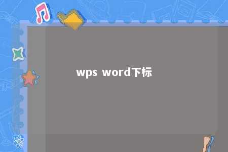 wps word下标 