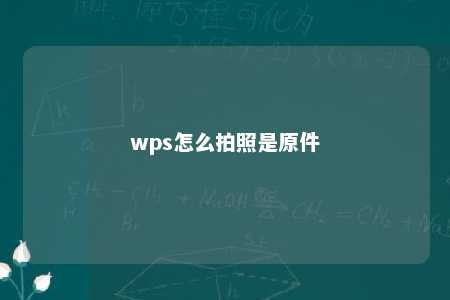 wps怎么拍照是原件 