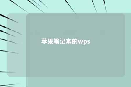 苹果笔记本的wps 