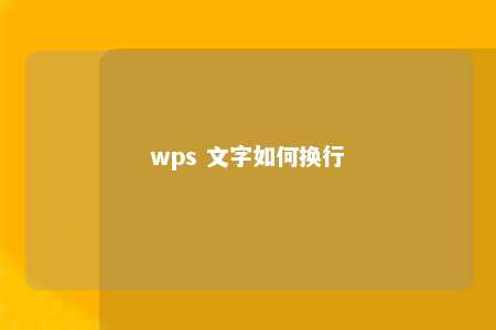 wps 文字如何换行 