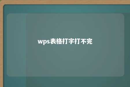 wps表格打字打不完 