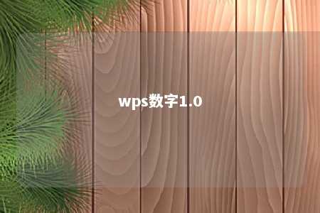 wps数字1.0