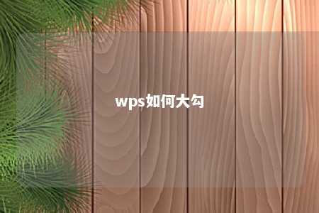 wps如何大勾