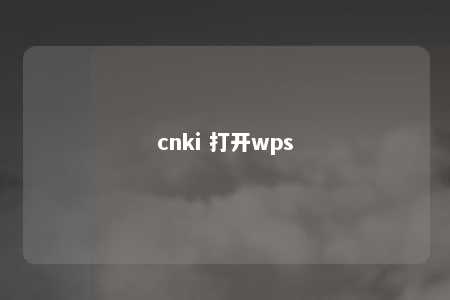 cnki 打开wps