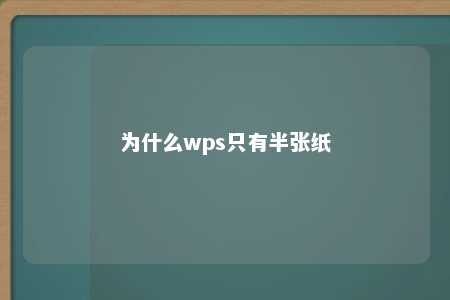 为什么wps只有半张纸 