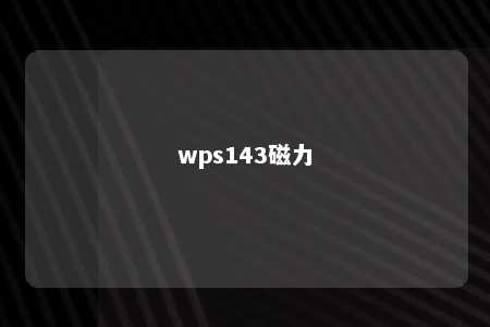 wps143磁力