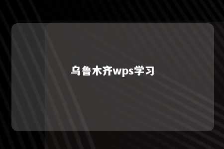 乌鲁木齐wps学习 