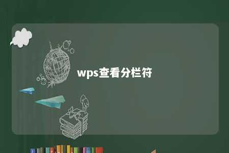 wps查看分栏符