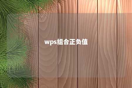 wps组合正负值 