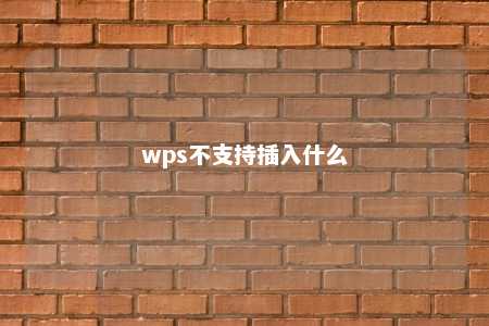 wps不支持插入什么 