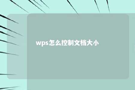 wps怎么控制文档大小 