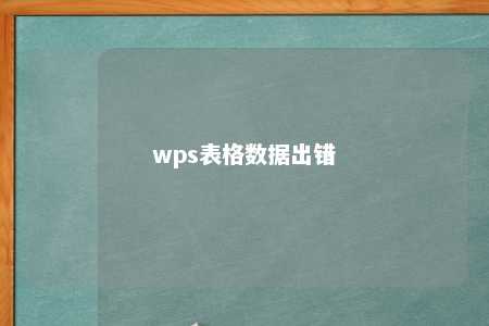 wps表格数据出错 