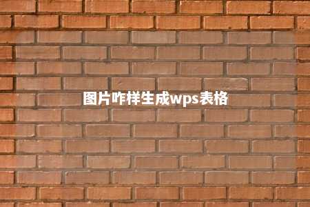 图片咋样生成wps表格