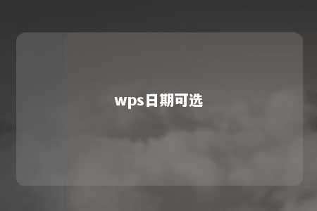 wps日期可选 