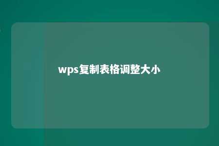 wps复制表格调整大小 