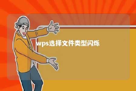 wps选择文件类型闪烁 