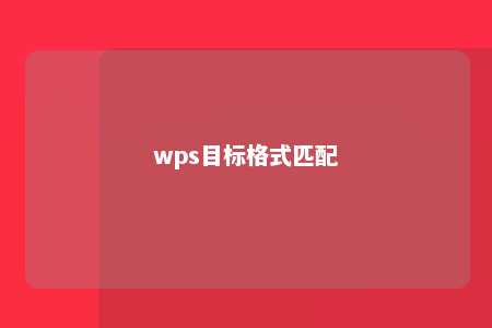 wps目标格式匹配 