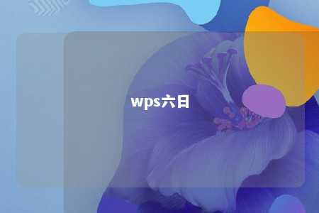 wps六日 