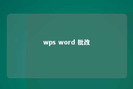 wps word 批改