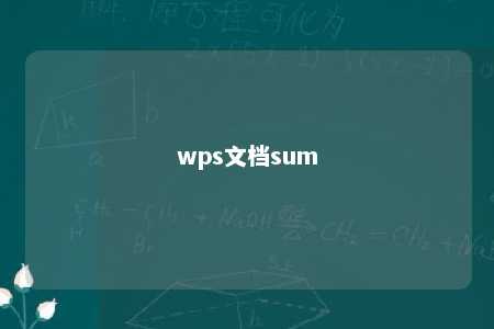 wps文档sum