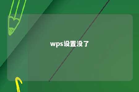 wps设置没了 