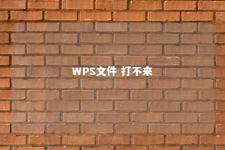 WPS文件 打不来