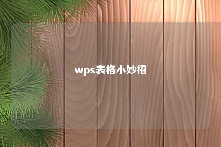 wps表格小妙招