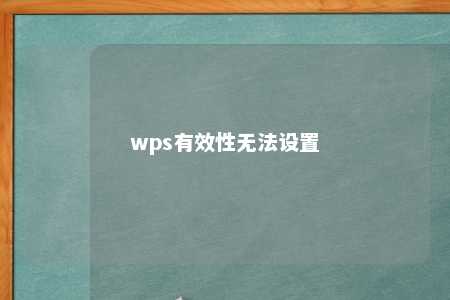 wps有效性无法设置