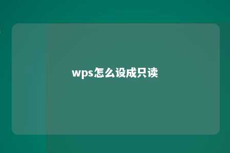 wps怎么设成只读 