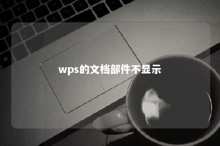 wps的文档部件不显示 