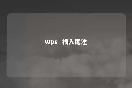 wps  插入尾注 