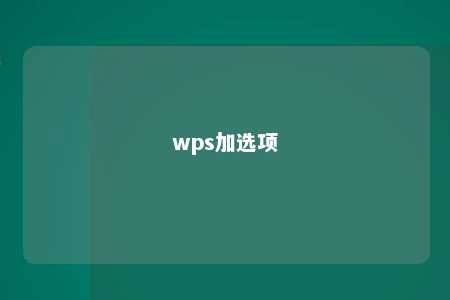 wps加选项 