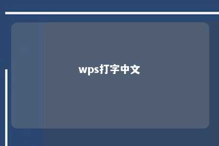 wps打字中文 