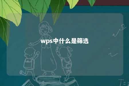 wps中什么是筛选 