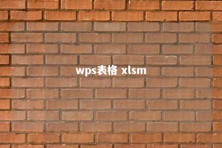 wps表格 xlsm 