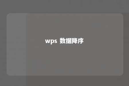 wps 数据降序 