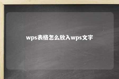 wps表格怎么放入wps文字 