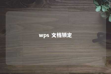 wps 文档锁定 