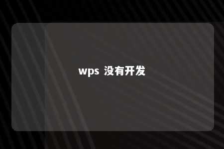 wps 没有开发 